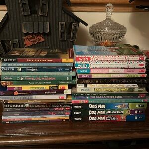 30 middle school/ upper elementary school level books